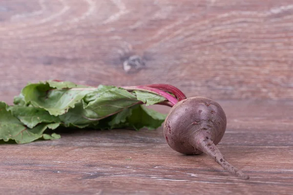 Rote Rüben — Stockfoto