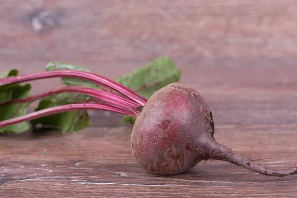 Rote Rüben — Stockfoto