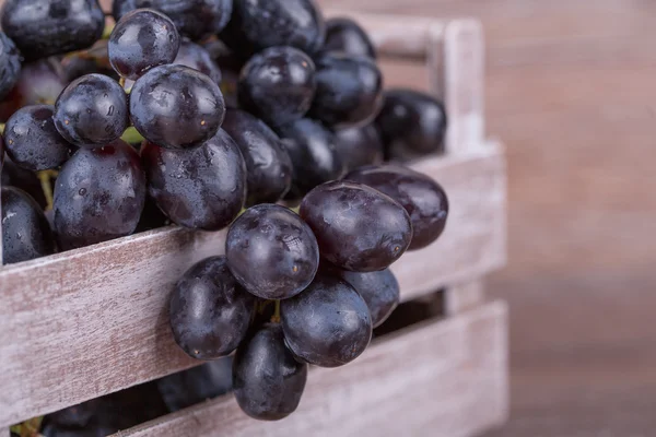 Uvas negras — Foto de Stock