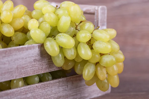 Uvas verdes maduras — Foto de Stock