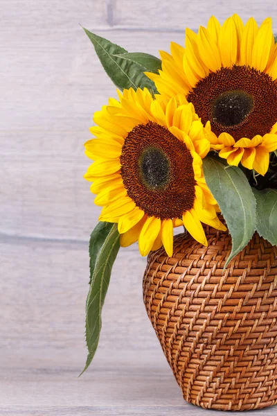 Bouquet of sunflowers — Stock Photo, Image
