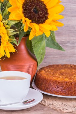 Balkabağı turtası