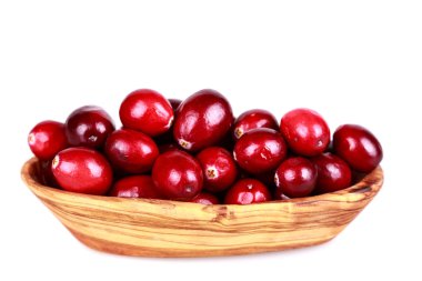 taze kızılcık