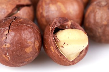 Macadamia fındık