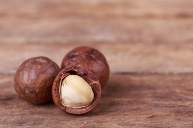 Macadamia fındık