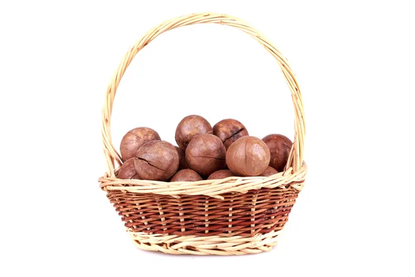 Frutos secos de macadamia — Foto de Stock