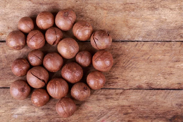 Орехи макадамии — стоковое фото