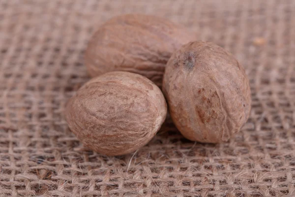 Dry nutmeg — Stock Photo, Image