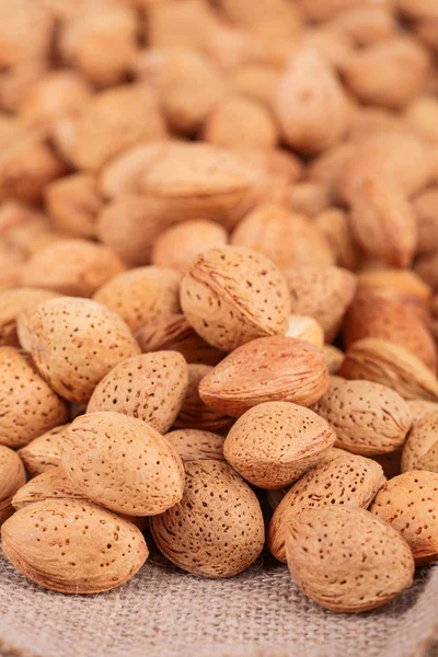 Almonds nuts — Stock Photo, Image