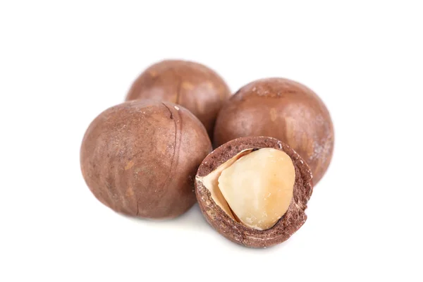 Macadamia nuts — Stock Photo, Image