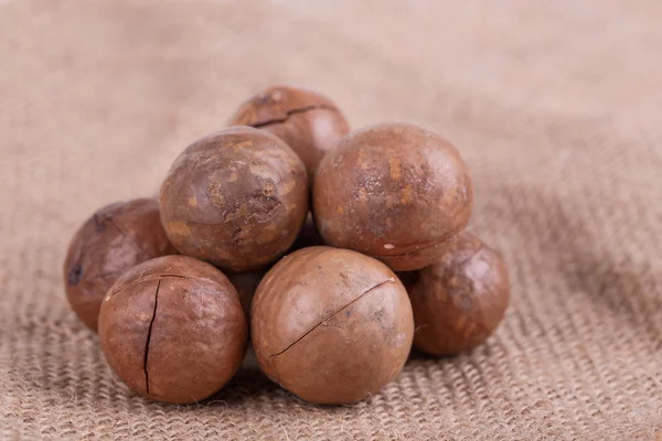 Macadamia nuts — Stock Photo, Image