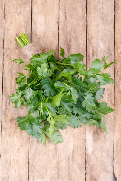 Frische Petersilie — Stockfoto