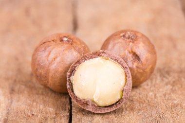 Macadamia fındık