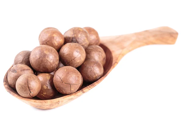 Frutos secos de macadamia — Foto de Stock