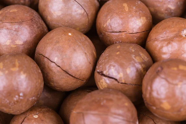 Frutos secos de macadamia — Foto de Stock