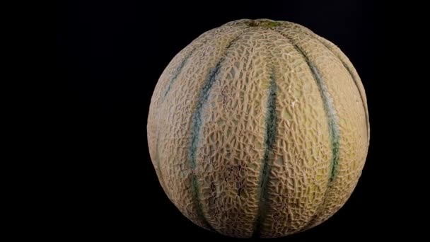 Hele rijp van Cantaloupe meloen draaien op witte achtergrond. — Stockvideo