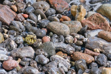 Baltık Denizi 'nin kayalık kıyıları ve dalgalar taşlara vurur..