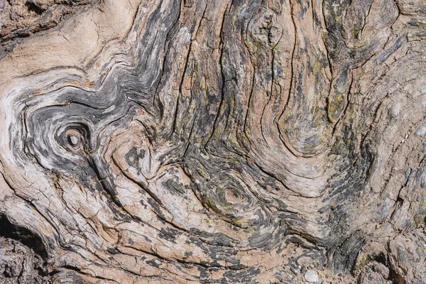 Vecchie tavole di legno con texture come sfondo — Foto Stock