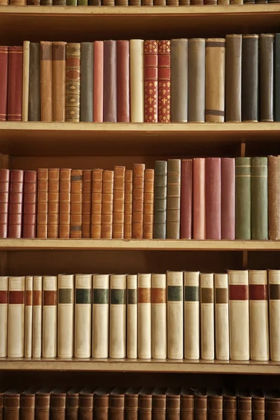 Много книг — стоковое фото
