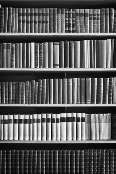 Muchos libros — Foto de Stock