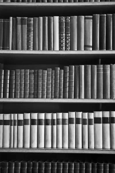 Muchos libros — Foto de Stock