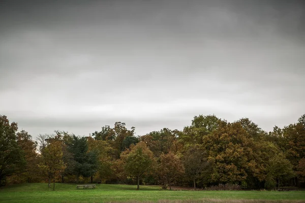 Осенний Фал — стоковое фото
