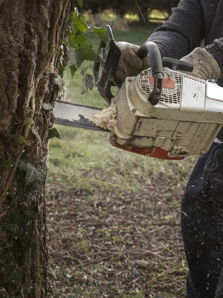 Chainsaw in action — Stock Photo, Image