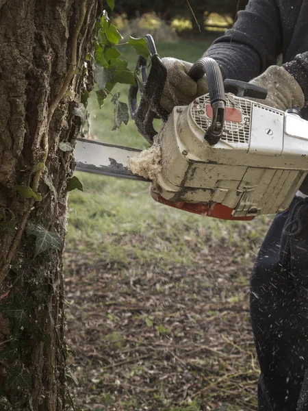 Motosega in azione — Foto Stock