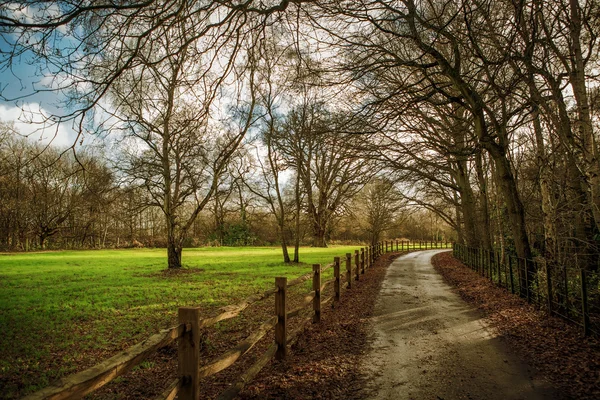 Landschaft — Stockfoto