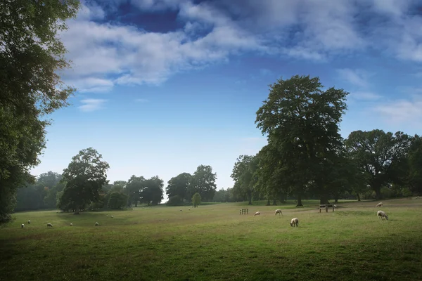 Malebný pohled na krajinu, cotswold, Anglie — Stock fotografie