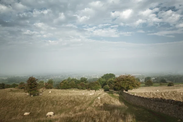 Malowniczy widok na kamienne ściany obok pola w cotswold, pol. — Zdjęcie stockowe