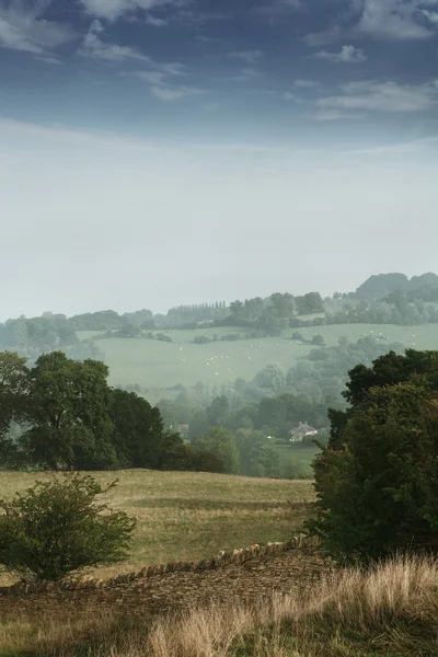 Cotswold, İngiltere'de tarlada doğal görünümü — Stok fotoğraf