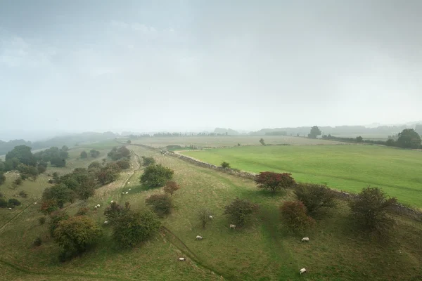 Вид на поля с высоты, Англия — стоковое фото