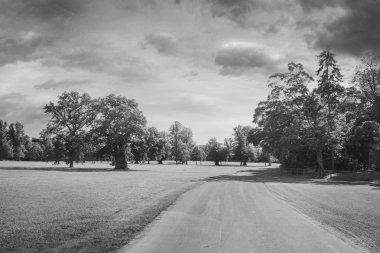 yolu ile ormanlık, İngiltere