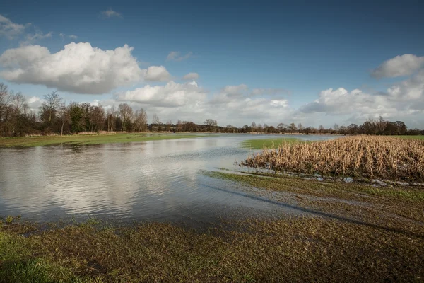 Flooded fields — Stock Photo, Image