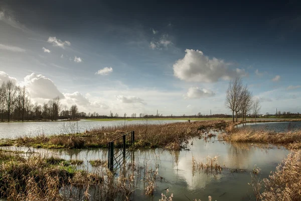 Flooded fields — Stock Photo, Image