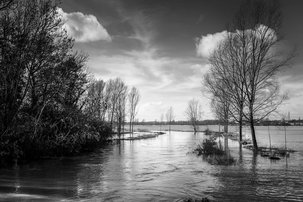 Flooded river — Stock Photo, Image