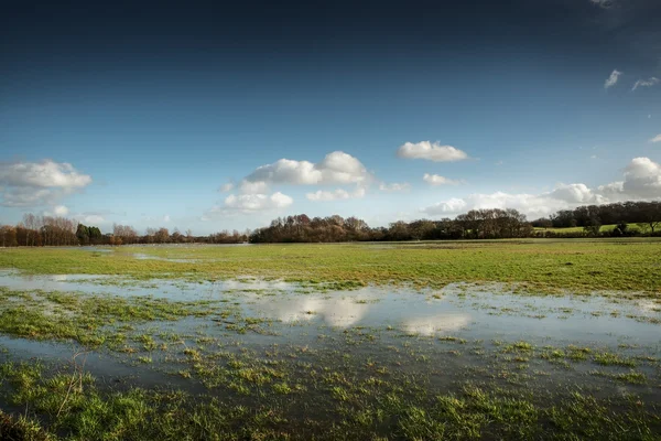 Flooded fields — Stock Photo, Image