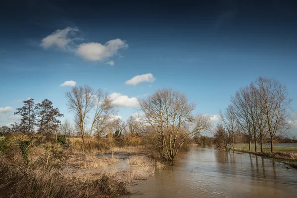 Flooded river — Stock Photo, Image