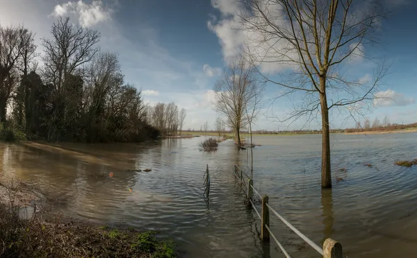 Flooded river — Stock Photo, Image