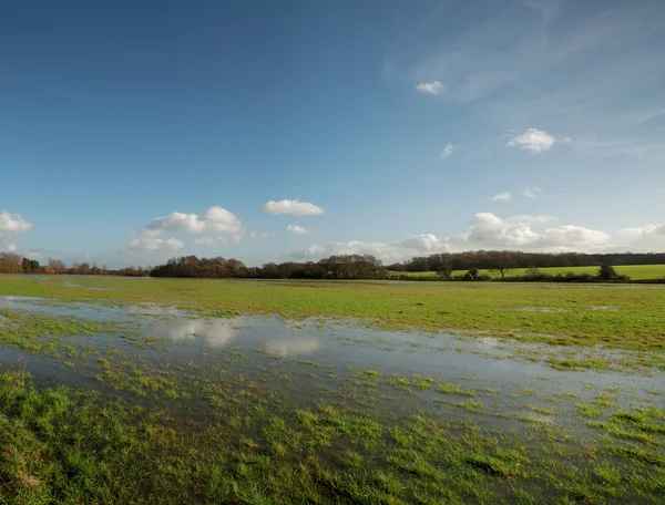 Campo inundado —  Fotos de Stock