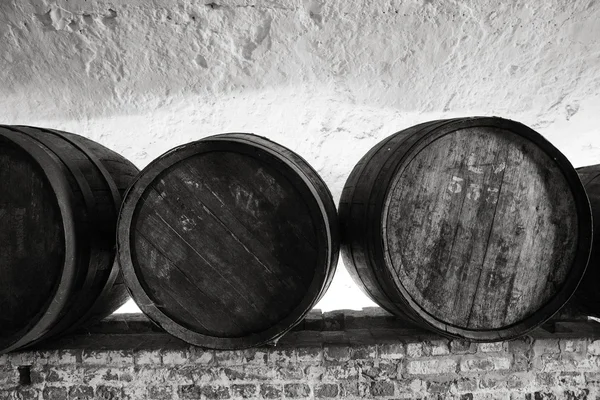 Wine cellar — Stock Photo, Image