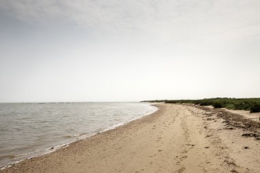 Bradwell-on-Sea kıyı şeridi