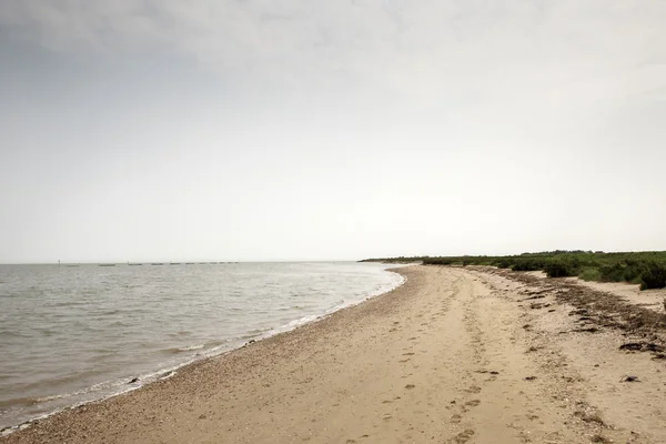 Bradwell-on-Sea kıyı şeridi — Stok fotoğraf