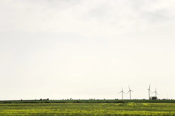 Power and nature — Stock Photo, Image