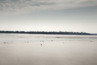 Heybridge Maldon peyzaj