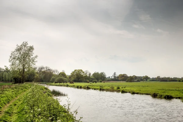 Landscape — Stock Photo, Image