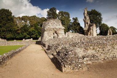 Thetford Manastırı 'nın kalıntıları Thetford, Norfolk, İngiltere' de bir Cluniac manastırı.