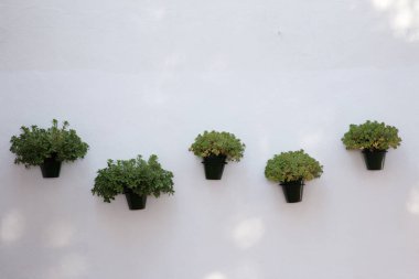 Mijas İspanya 'da beyaz bir çamaşır duvarına asılan tencerelerin detaylı görüntüsünü kapat