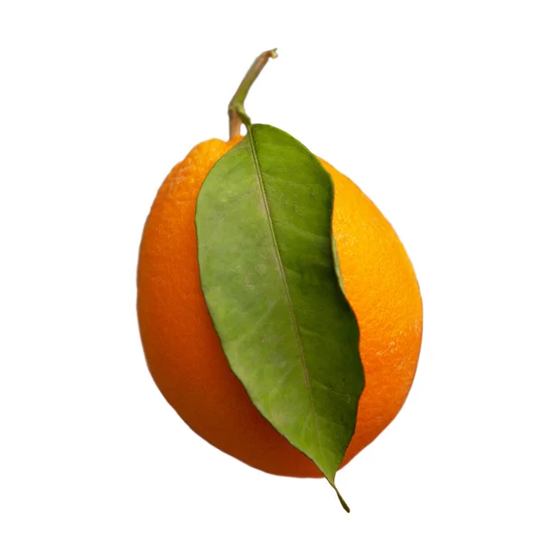 Solo Naranja Con Una Hoja Grande Cortada Blanco — Foto de Stock